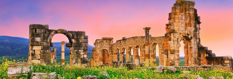 Excursion privée à Volubilis, Moulay Idriss et Meknès