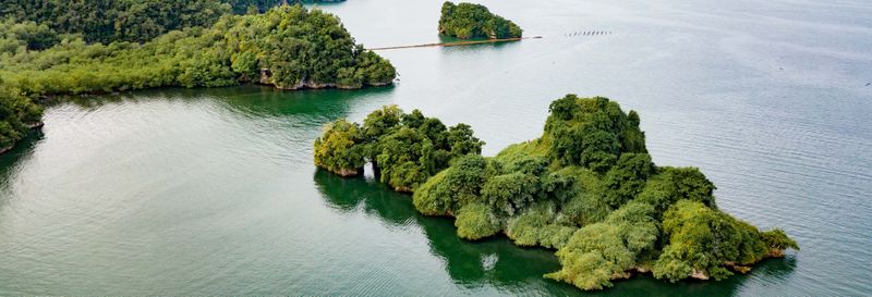 Excursion au Parc National Los Haitises