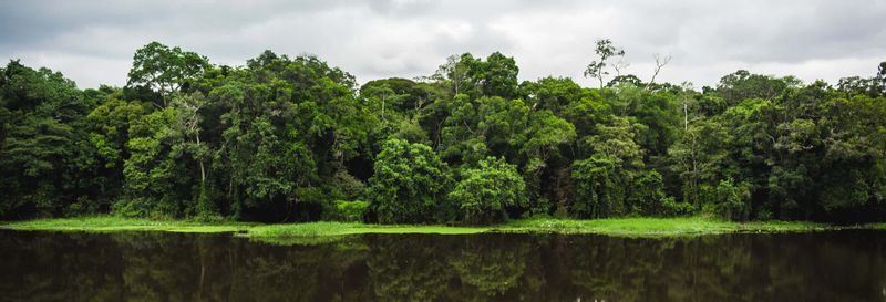 Excursion au Parc national de la Mefou et à la réserve forestière d'Ebogo