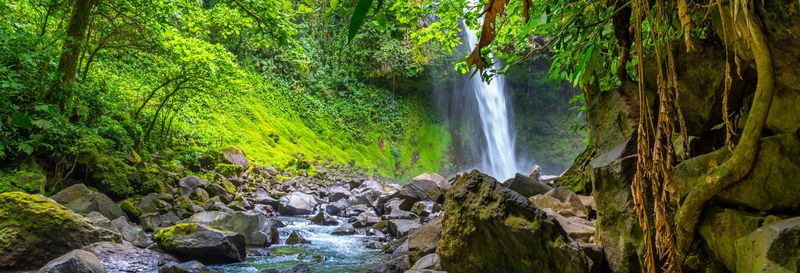 Excursion à la cascade de La Fortuna et au volcan Arenal