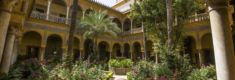 Visite dans la Macarena + Palacio de las Dueñas