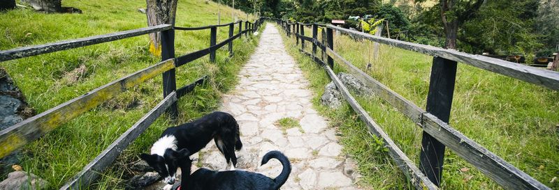 Randonnée vers le canyon de Combeima et Casa Loma