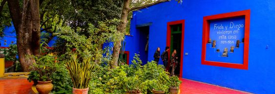 Free tour à la découverte de Frida Kahlo dans Coyoacán
