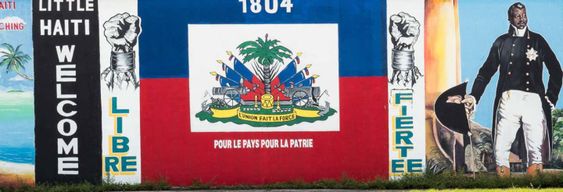 Visite guidée dans Little Haïti, Buena Vista et Miami Design district