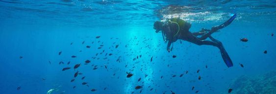 Baptême de plongée au parc naturel du Montgrí