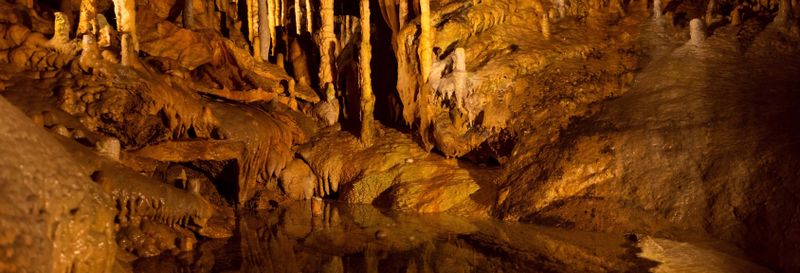 Excursion à Dinant et aux grottes de Han