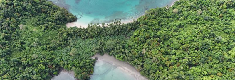 Plongée dans le parc national de Coiba