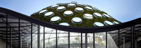 Billet pour l’Académie des Sciences de Californie