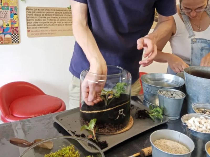Atelier terrarium à Caluire-et-Cuire (69)