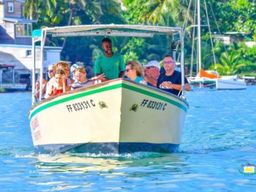 Visite guidée de la Mangrove depuis Les Trois-Ilets