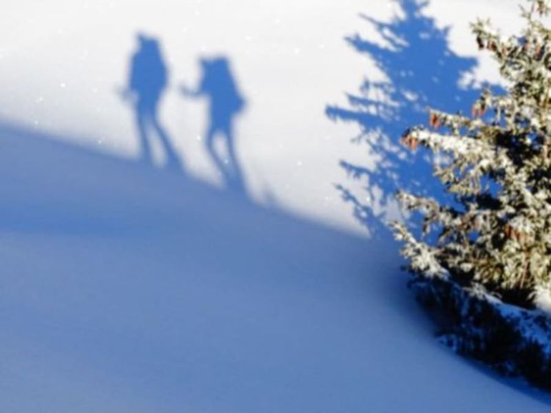 Randonnée en Raquettes autour du Lac de Serre-Ponçon