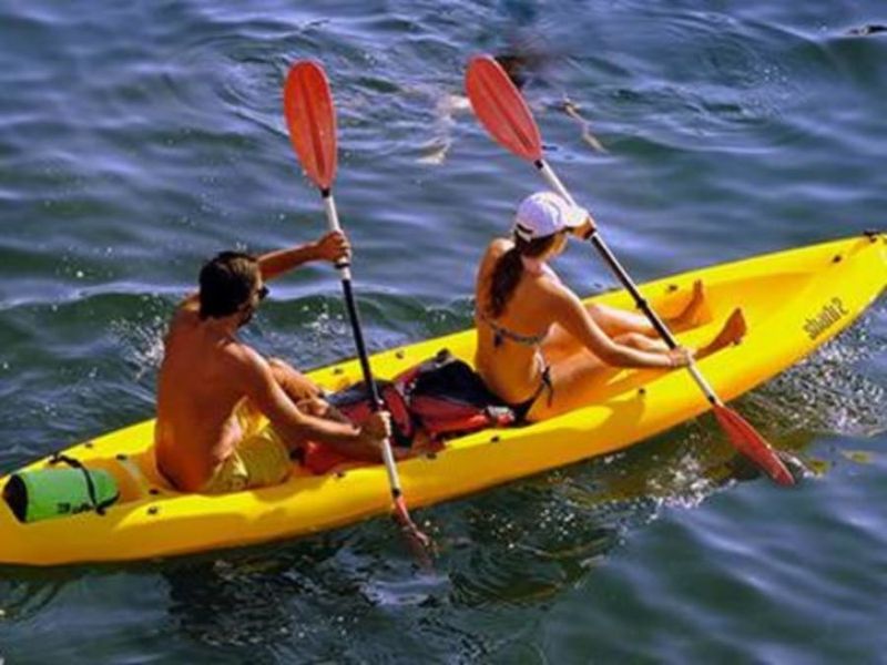 Location de Canoë à Béhuard : descente de la Loire
