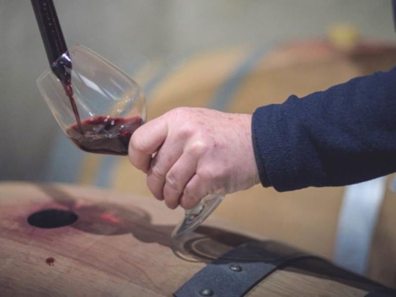 Visite & Dégustation – secrets des vins en élevage à Illats (33)