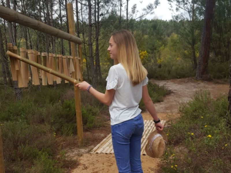 Balade Sensitive en Fôret à Barbaste