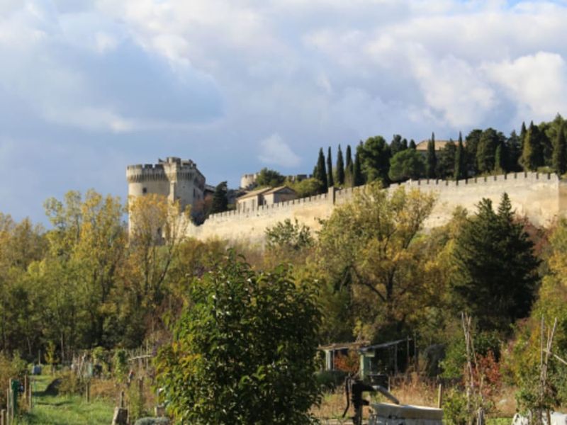 Billet pour le Fort Saint-André à Villeneuve-lez-Avignon (30)