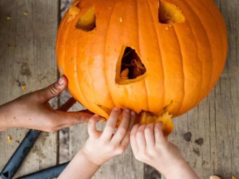 Atelier citrouille pour Halloween à la Cueillette de Férin (59)