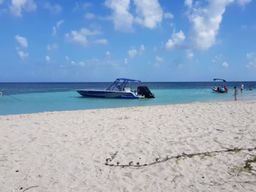 Excursion à la demi journée à Petite Terre (971)