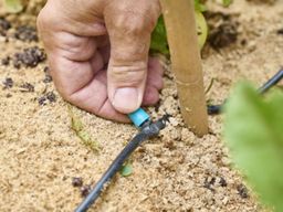 Collecter & économiser l'eau du jardin, Truffaut Colomiers (31)