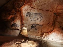 Billet pour la Grotte Cosquer Méditerranée à Marseille (13)