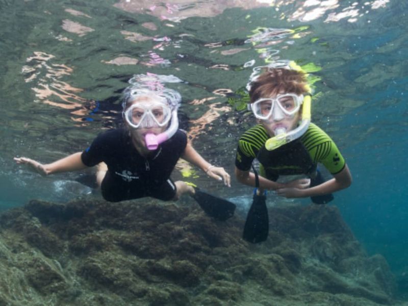 Snorkeling à Cerbère (66)