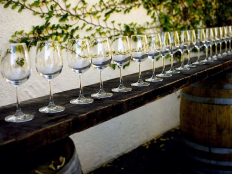 Visite du domaine et cours d'œnologie près de Nantes (44)