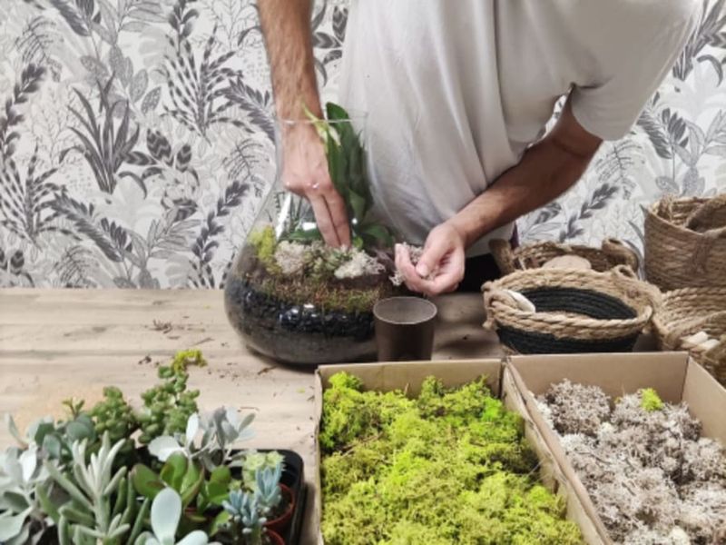 Atelier terrarium à Wasquehal (59)