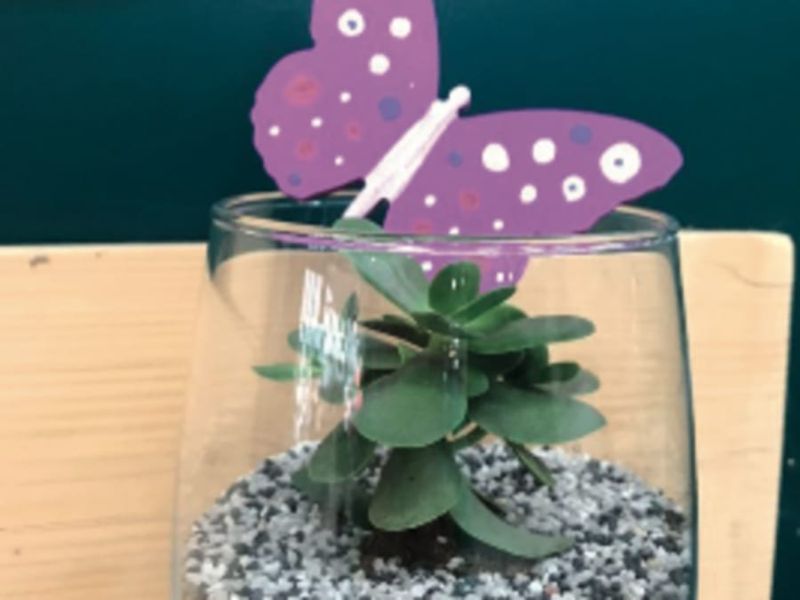 Atelier enfant création bulle de plantes chez Truffaut Herblay