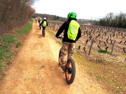 Location de trottinettes électrique au Beaujolais proche de Lyon