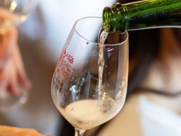 Dégustation accords vins et fromages à Chablis (89)