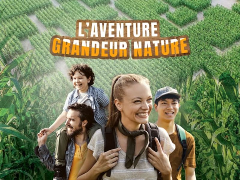 Labyrinthe géant dans un champ de maïs à Berck (62)