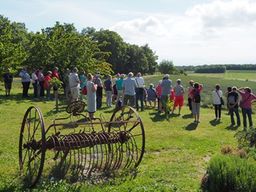 Visite découverte de la lavande proche de Montélimar (26)