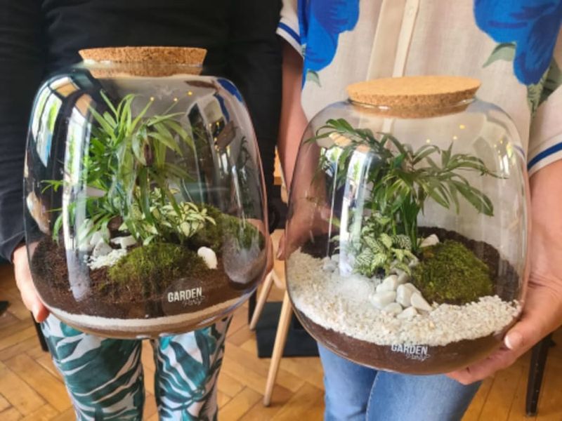 Atelier Terrarium à Strasbourg (67)