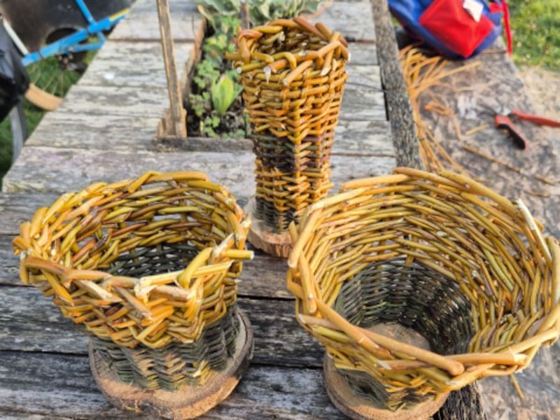 Atelier Vannerie parent/enfant à Montardon (64)