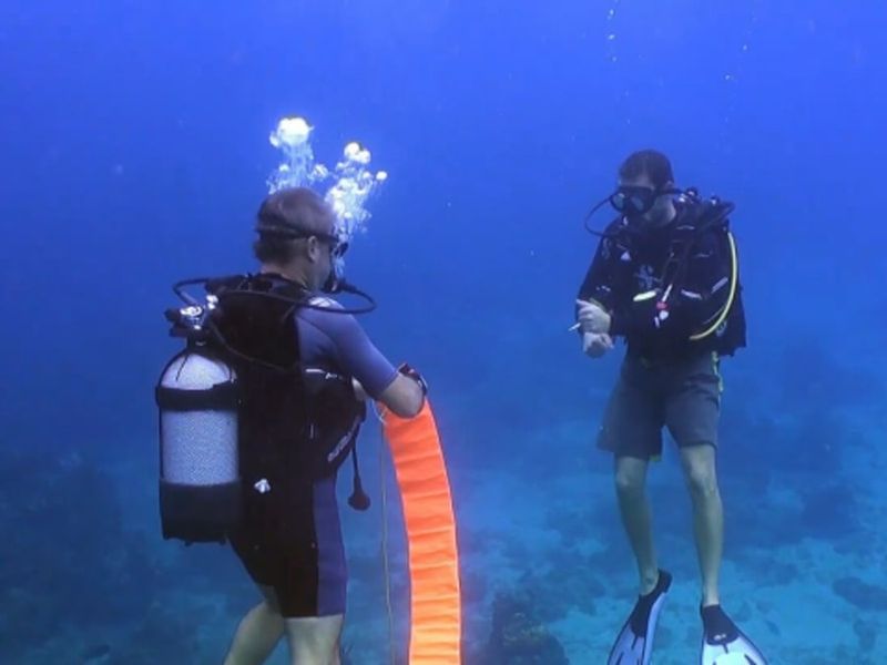 Formation à la plongée sous-marine SSI à Bouillante (971)