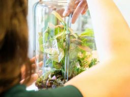 Atelier Terrarium taille L à Saint-Sorlin-en-Valloire (26)
