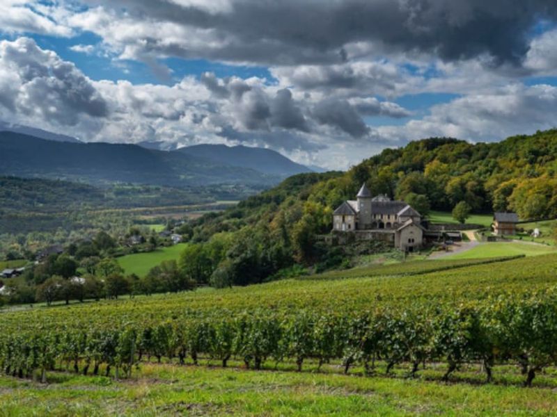 Wine Tour Privatif autour des Vins de Savoie (73)