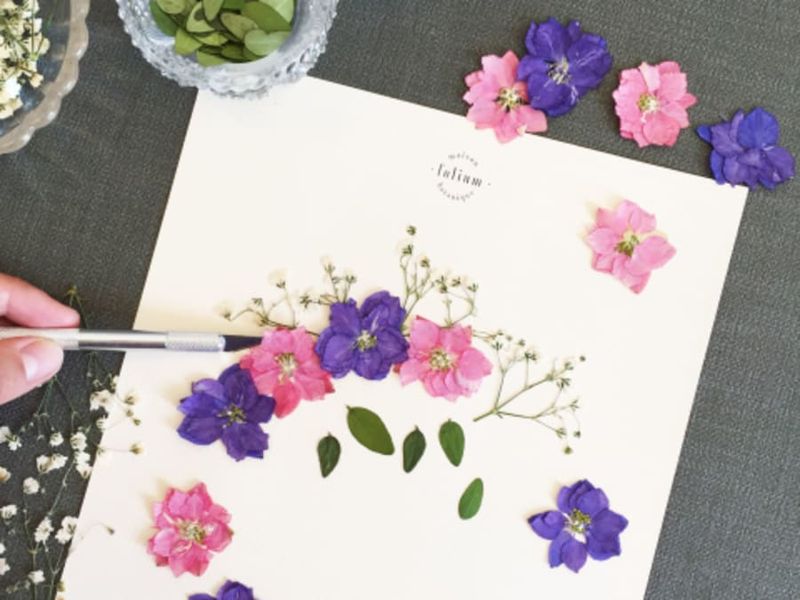 Atelier pressage de fleurs et composition d'herbier à Marseille