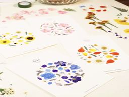 Atelier pressage de fleurs et composition d'herbier à Marseille