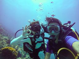 Baptême de  plongée aux Anses-d'Arlet (972)