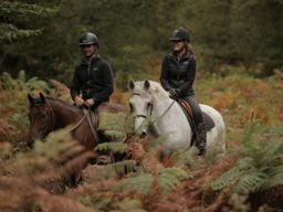 Balade à cheval en forêt dans les Yvelines (78)