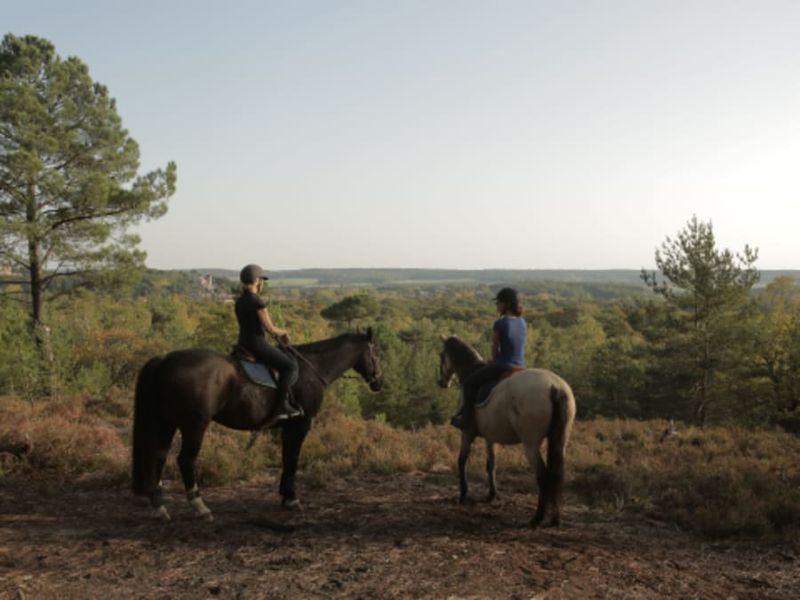 Escapade privée à cheval en forêt dans les Yvelines (78)