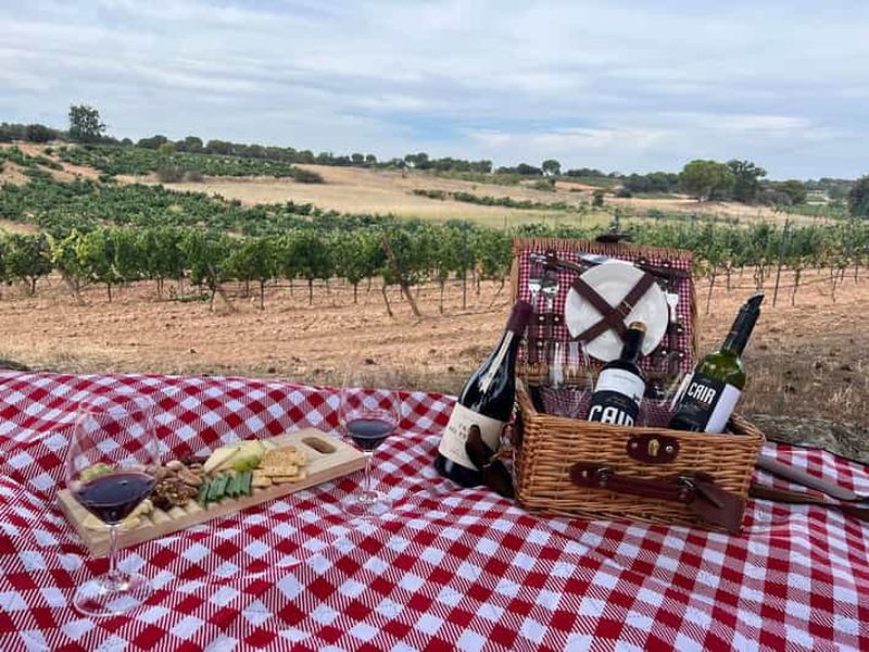 Madrid : Circuit des vins rouges et blancs de Ribera del Duero et de Rueda