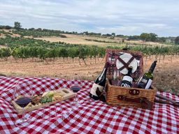 Madrid : Circuit des vins rouges et blancs de Ribera del Duero et de Rueda