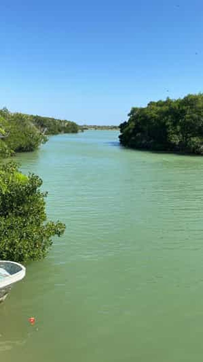 Río Lagartos et Las Coloradas : une expérience naturelle