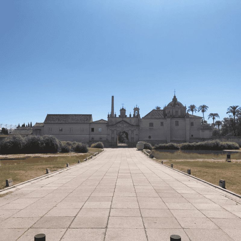 Séville : visite à pied en petit groupe du monastère de la Cartuja