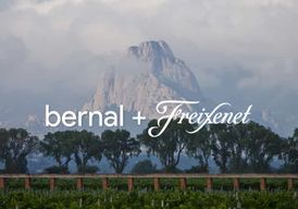 Querétaro : Peña de Bernal et Cavas de Freixenet