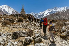 Depuis Katmandou : trek guidé de 5, 6 ou 7 jours dans la vallée de Langtang