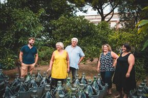 Banyuls-sur-Mer : visite et dégustation autour d'un accord mets et vins