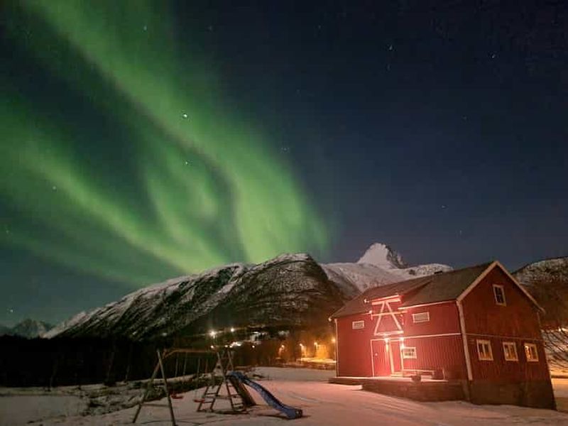 Sauna et baignade dans l'eau glacée du Lyngenfjord