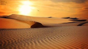 Depuis Djerba : coucher de soleil, Matmata, Tataouine et Star Wars en 4x4